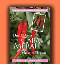 Image of Budidaya Cabai Merah pada Musim Hujan