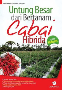 Image of Untung besar dari bertanam cabai hibrida untuk industri
