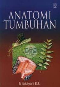 Image of Anatomi Tumbuhan