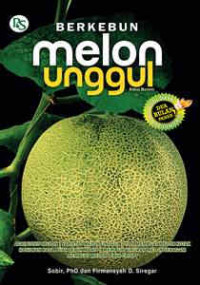 Image of Berkebun melon unggul