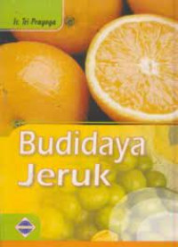 Image of Budidaya Jeruk
