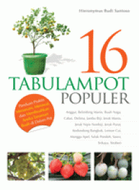 Image of 16 Tabulampot Populer